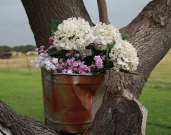 Flowers_rustybucket